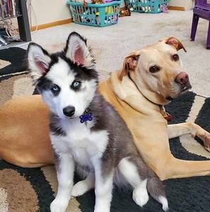 Meet your Posher, Brianna